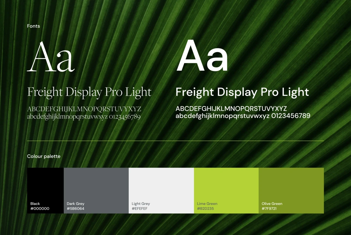 Brand guidelines mockup showing font weights, a colour palette containing 5 colours on a leafy green background