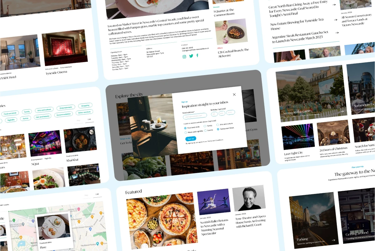 Mockup of different campaign website page designs for NE1